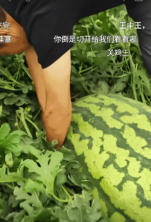 西瓜王![大笑]