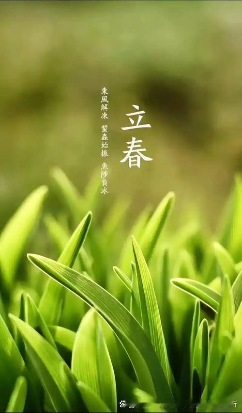 ‌
我的创意下联可以是：
1、阳和启蛰冰霜解[碰拳]东风解冻万物苏‌。
2、阳和