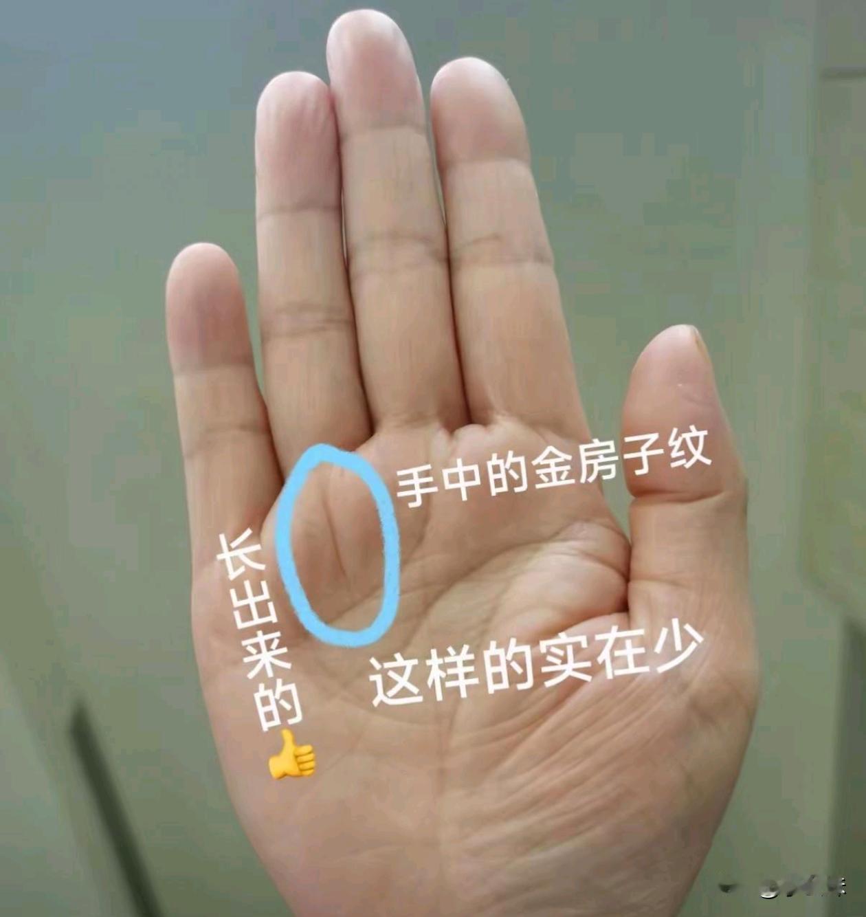 金房子纹，有的扣1！