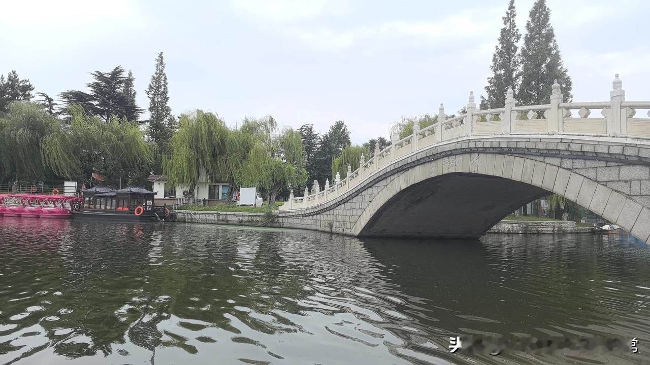 我是喜欢一个人外出旅游的青岛老太， 今年83岁。

外出旅游时，我会用手机预售火