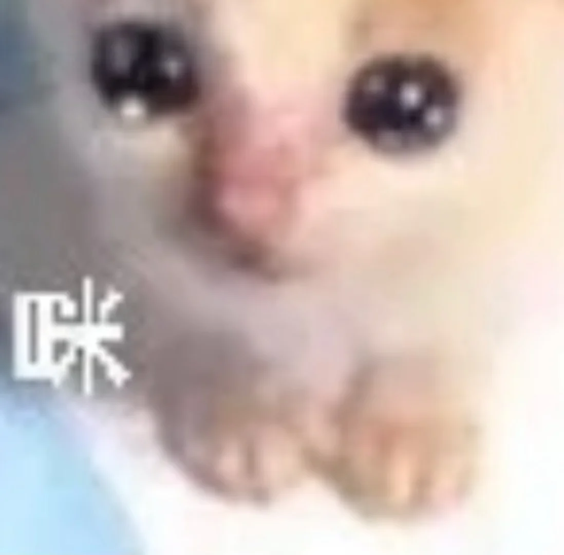 究竟是什么迫使几女子偷了我两三年照骗