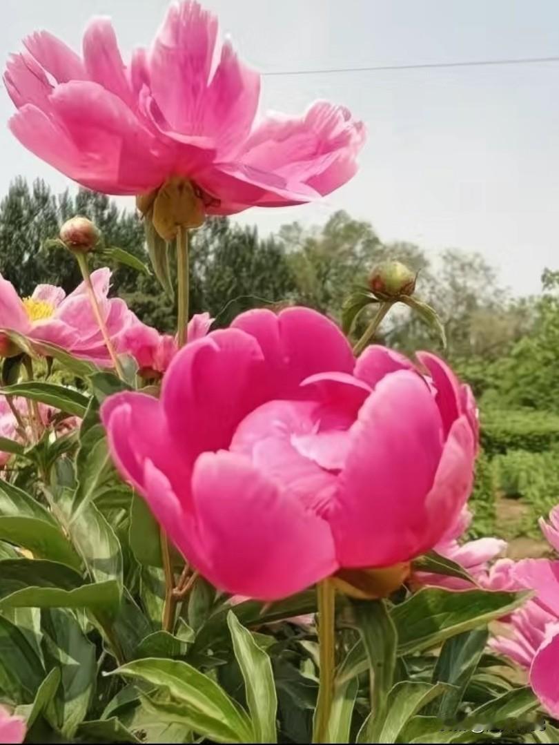 我认为合适的人！
婚姻就像鞋，
合适不合适，
只有脚知道。
只有婚姻合适，
相处