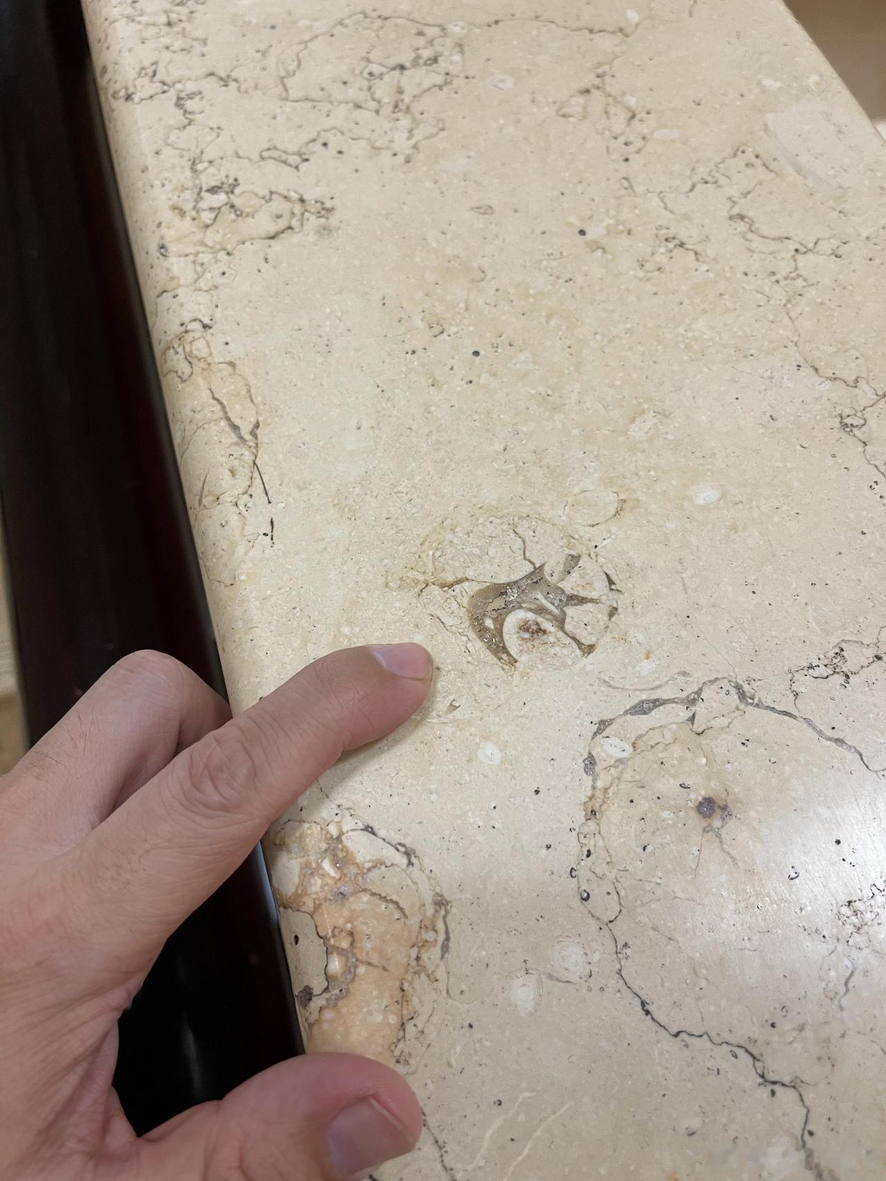 甘肃省博物馆墙上地上有好多化石！
放假啦，大家都来博物馆啦！赶着暑假刚开始来参观