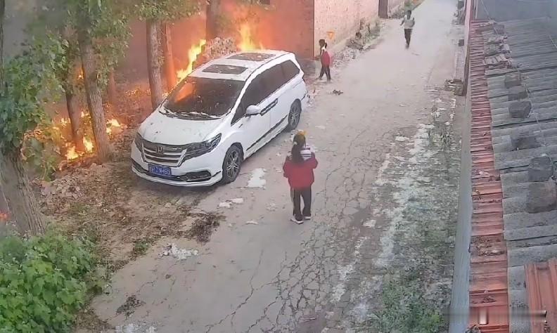这个杨絮的危害真的是太大了，火灾是一大项，还有容易过敏皮肤瘙痒，吸入肺里容易咳嗽