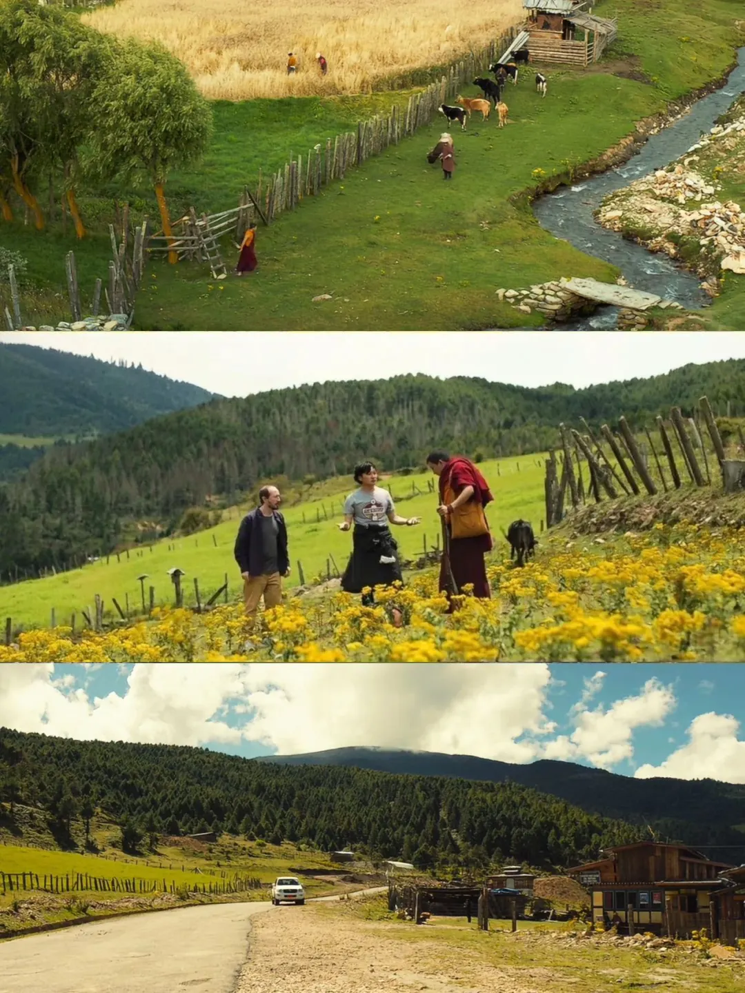 今年最快乐的电影🤣🤣🤣