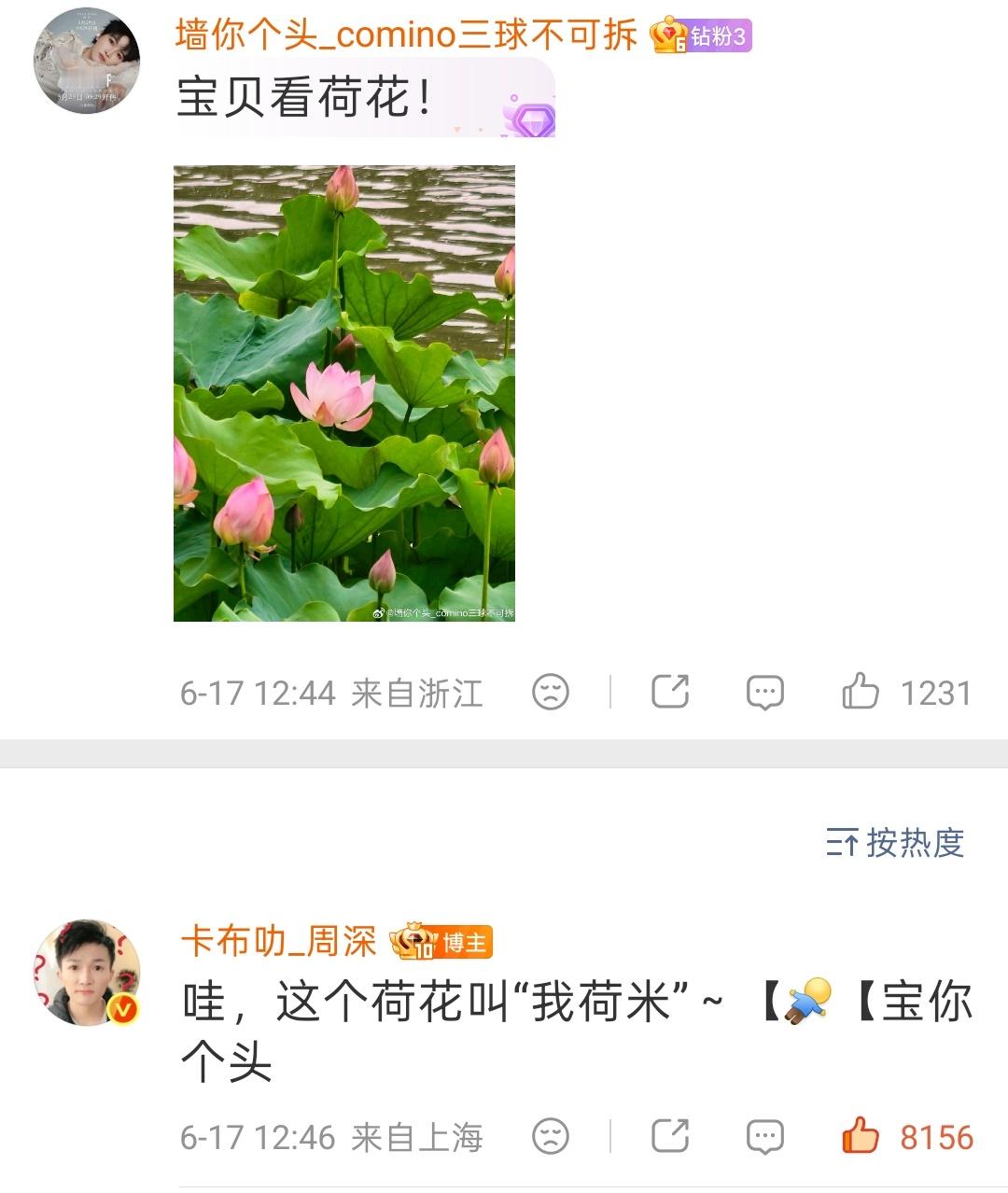 ▪ 2026.06.17🐱回复网页链接