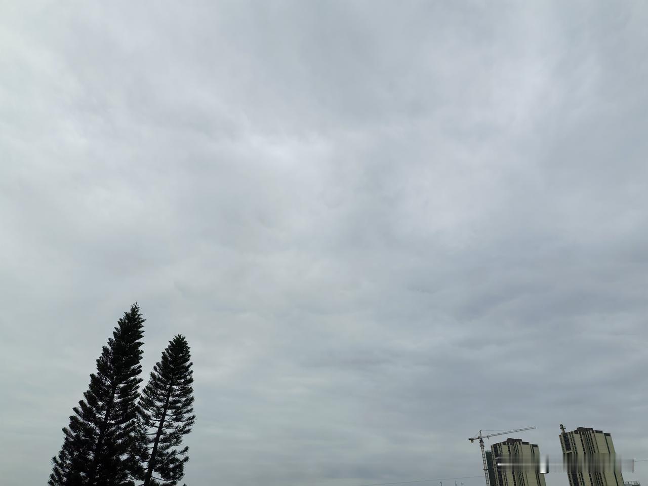 大到暴雨＋雷暴大风上线！12日夜间起新一轮龙舟水抵达广东！

今天（12日）白天