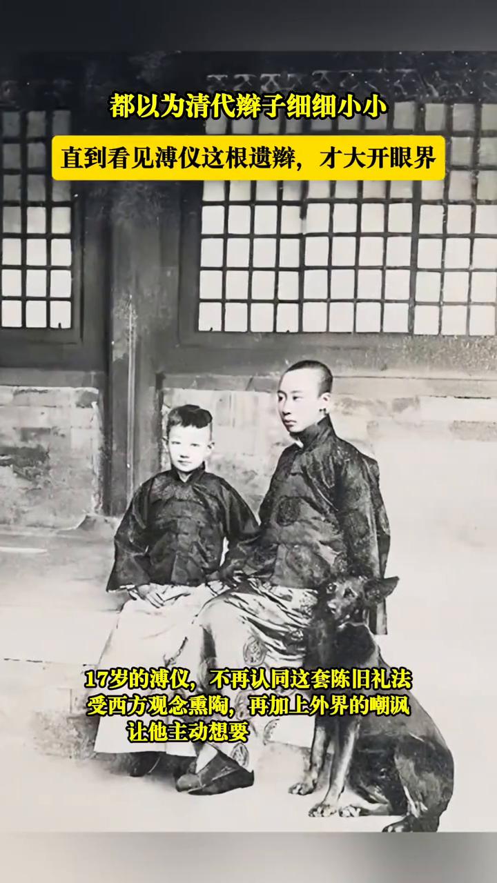 都以为清代辫子细细小小，直到看见溥仪这根遗辫才大开眼界。可展出的这根辫子发量格外