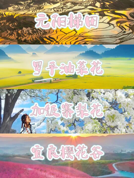 3月滇东南赏花限定🌸罗平+加级寨+宜良！