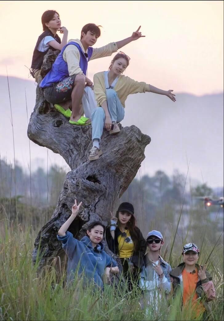 看花少简直幻视职场 重温花少直接梦回上班现场，妥妥的职场生存图鉴。导游对应空降项