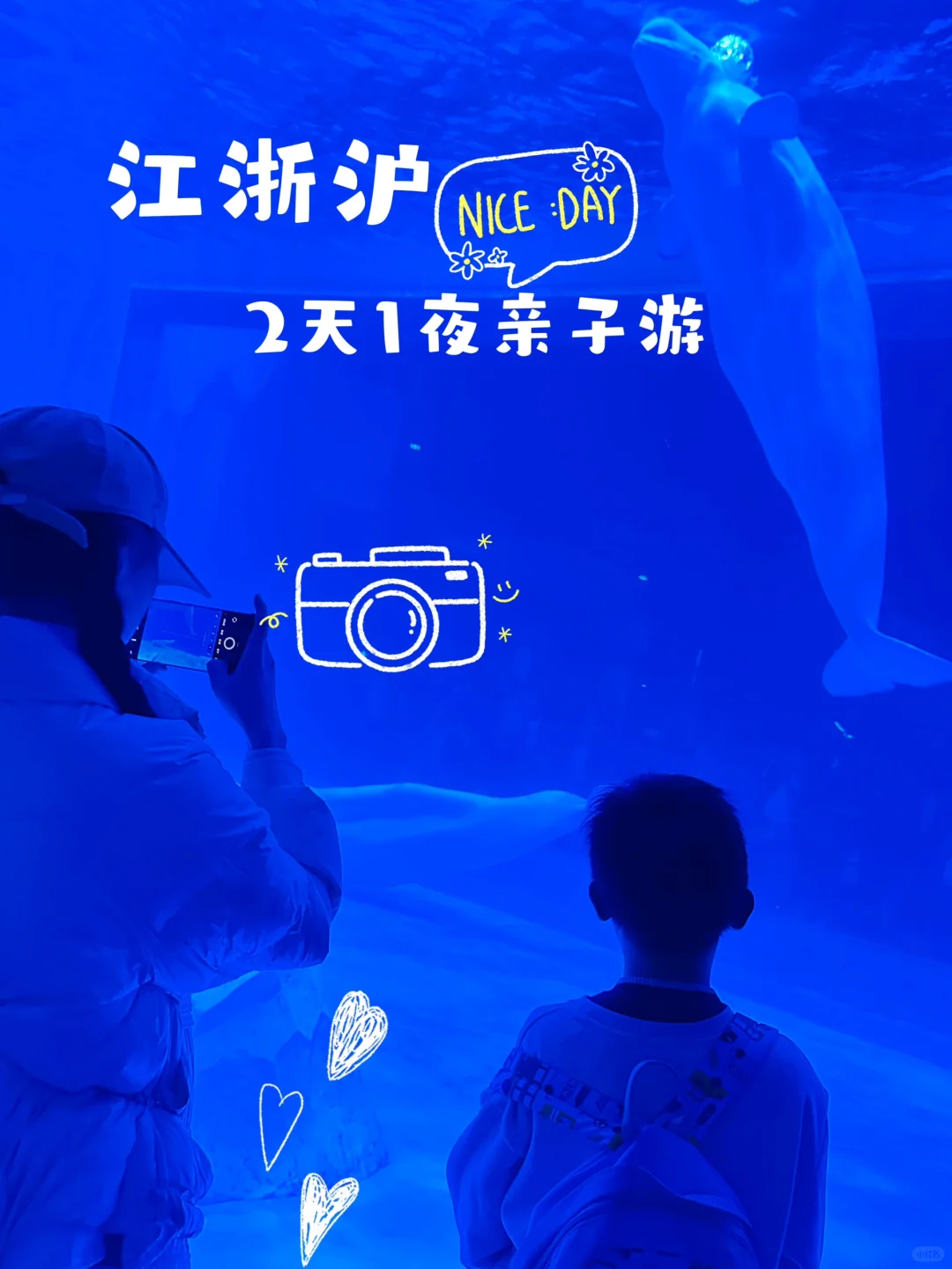 上海海昌海洋公园遛娃，冬日限定新玩法