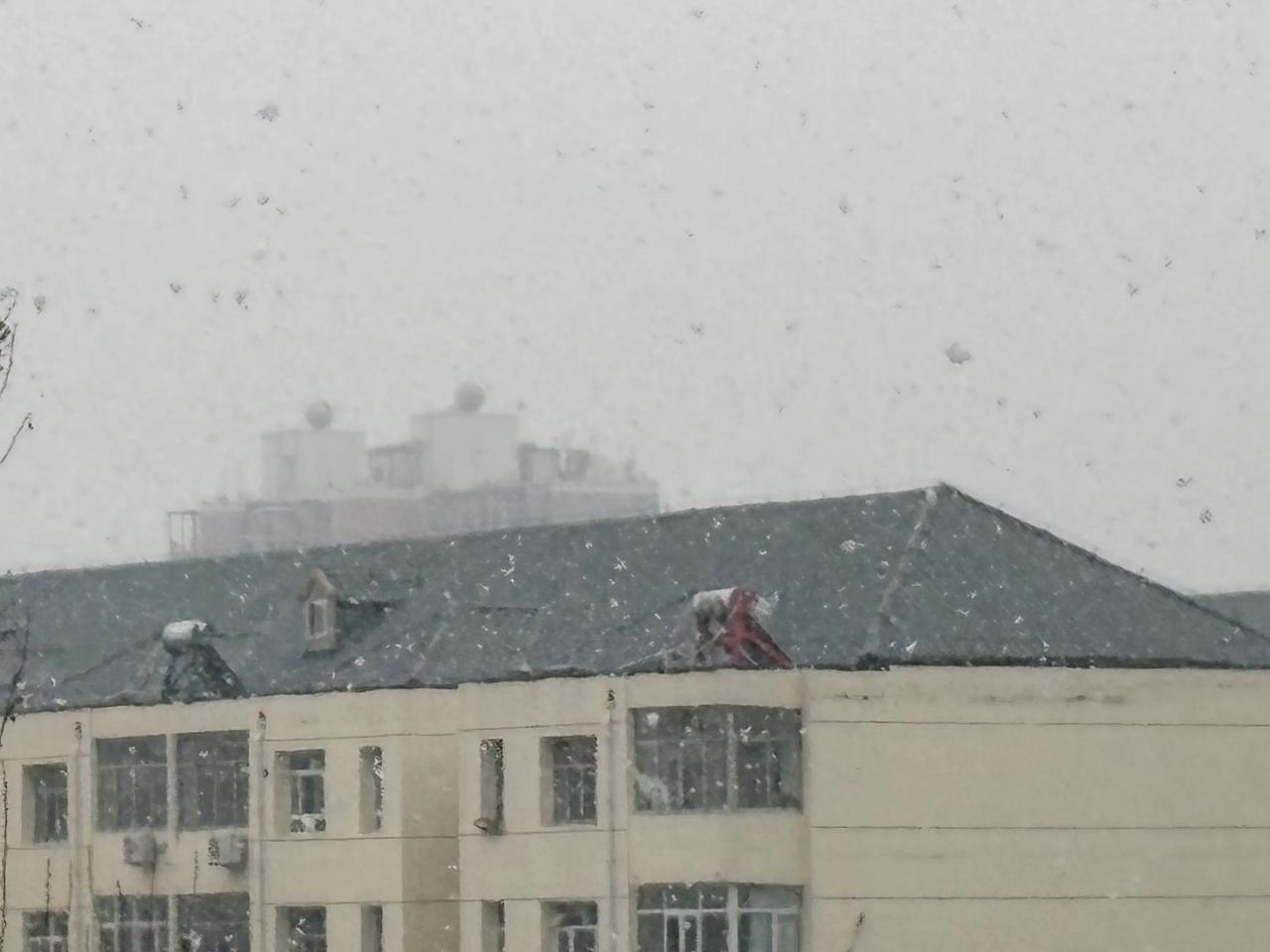 国际庄下雪了，今年最大的雪！