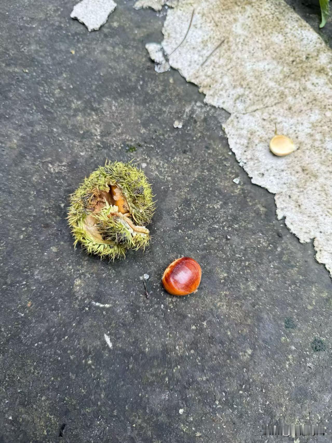 今日分享随手拍照片