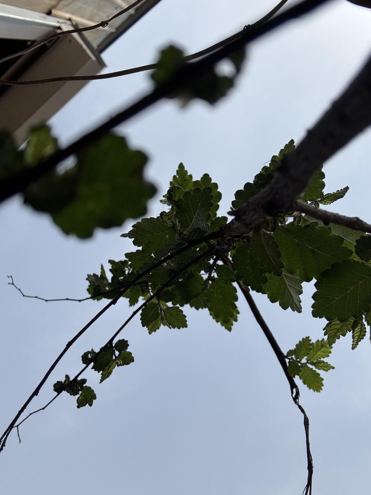 看着故乡的灯火渐远，城市的霓虹亮起。
看着满满的后备箱，化作前行的能量。
家人的