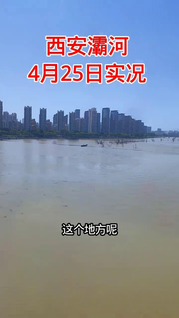 西安灞河4月25日实况。
这个地方是西安的灞河，来看一下2026年4月25号灞河