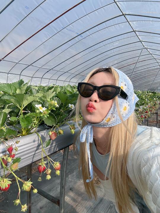 🍓像你这种小草莓我一口一个！🍓