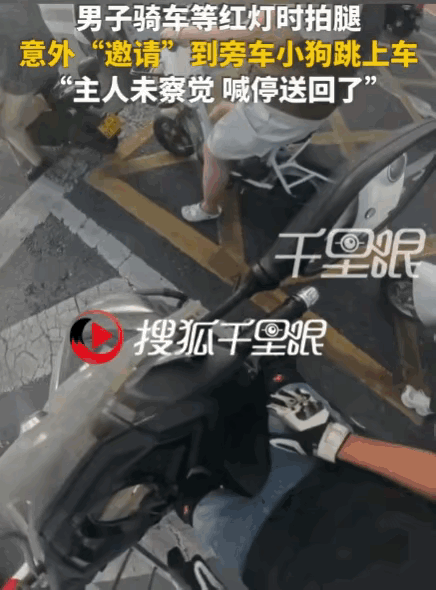 拍腿也能成暗号。河南郑州一名男子骑车等红灯，天热得难受，他下意识拍了拍大腿。没料