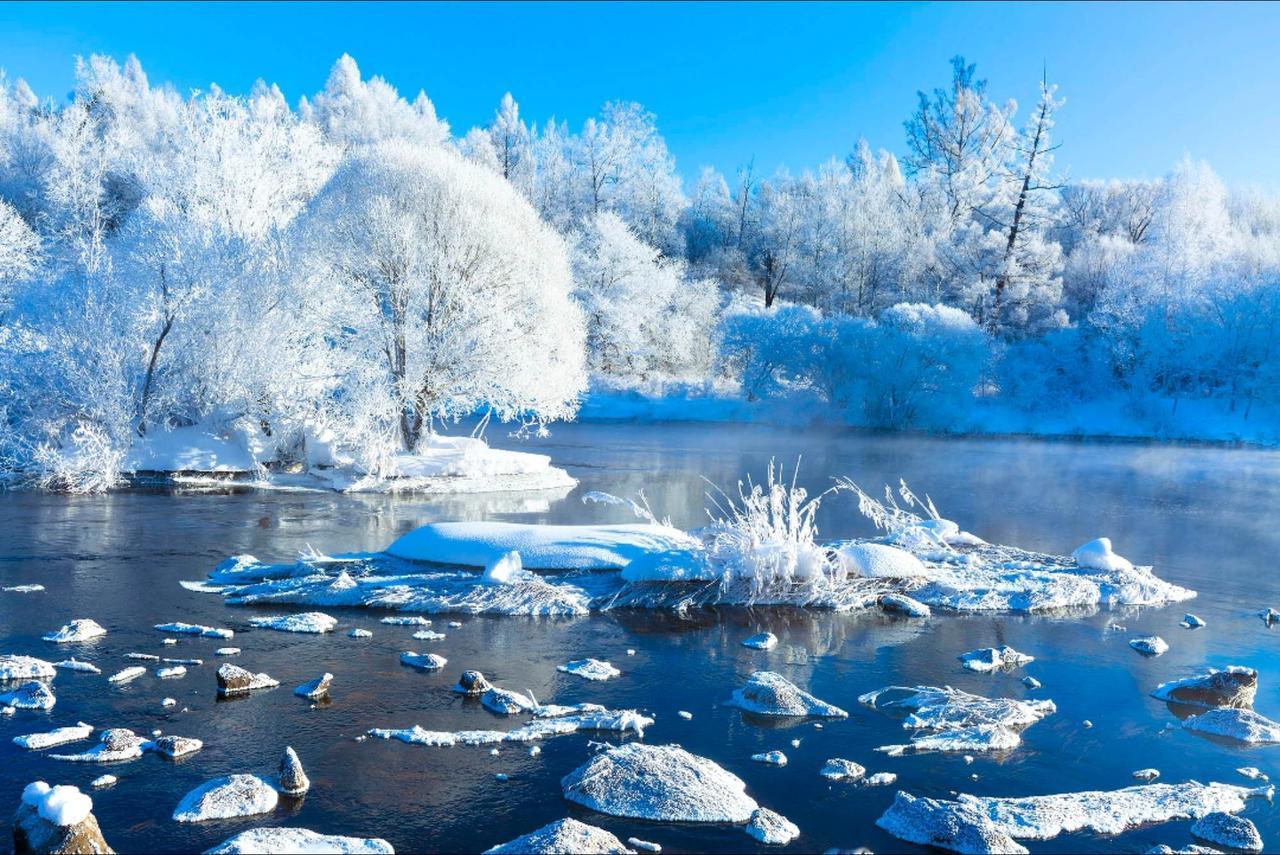 数九腊月有冬日的风景，雪寒节气有北方的故事……。冬天该有的样子 每一帧都是热爱 