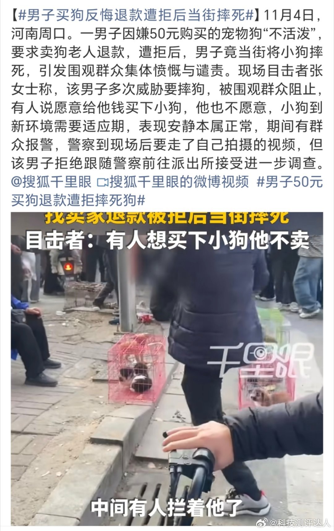 男子50元买狗退款遭拒摔死狗这种人买狗干什么[疑问]一看就不喜欢狗啊，店家不给退