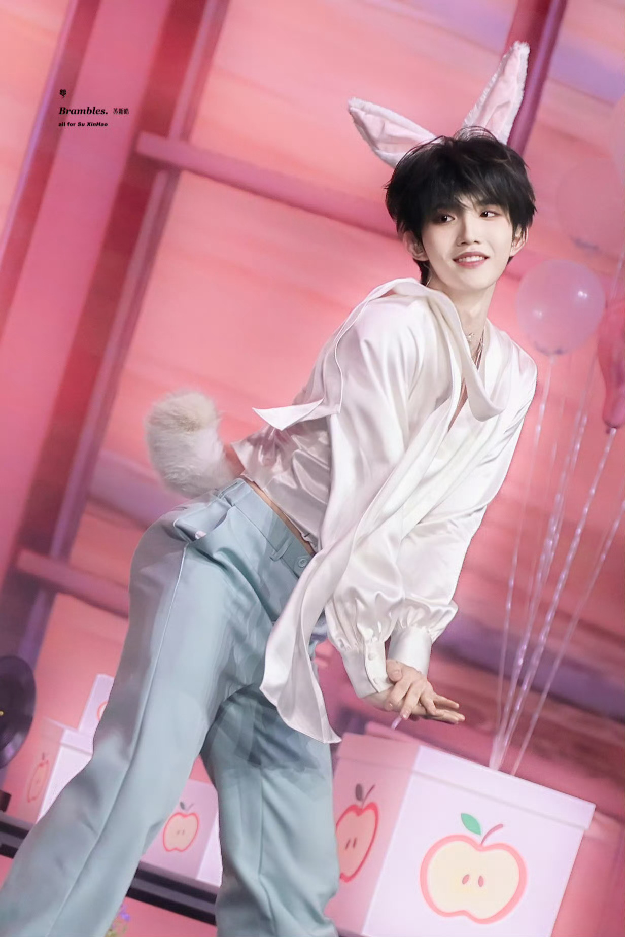 这是好兔子还是坏兔子 