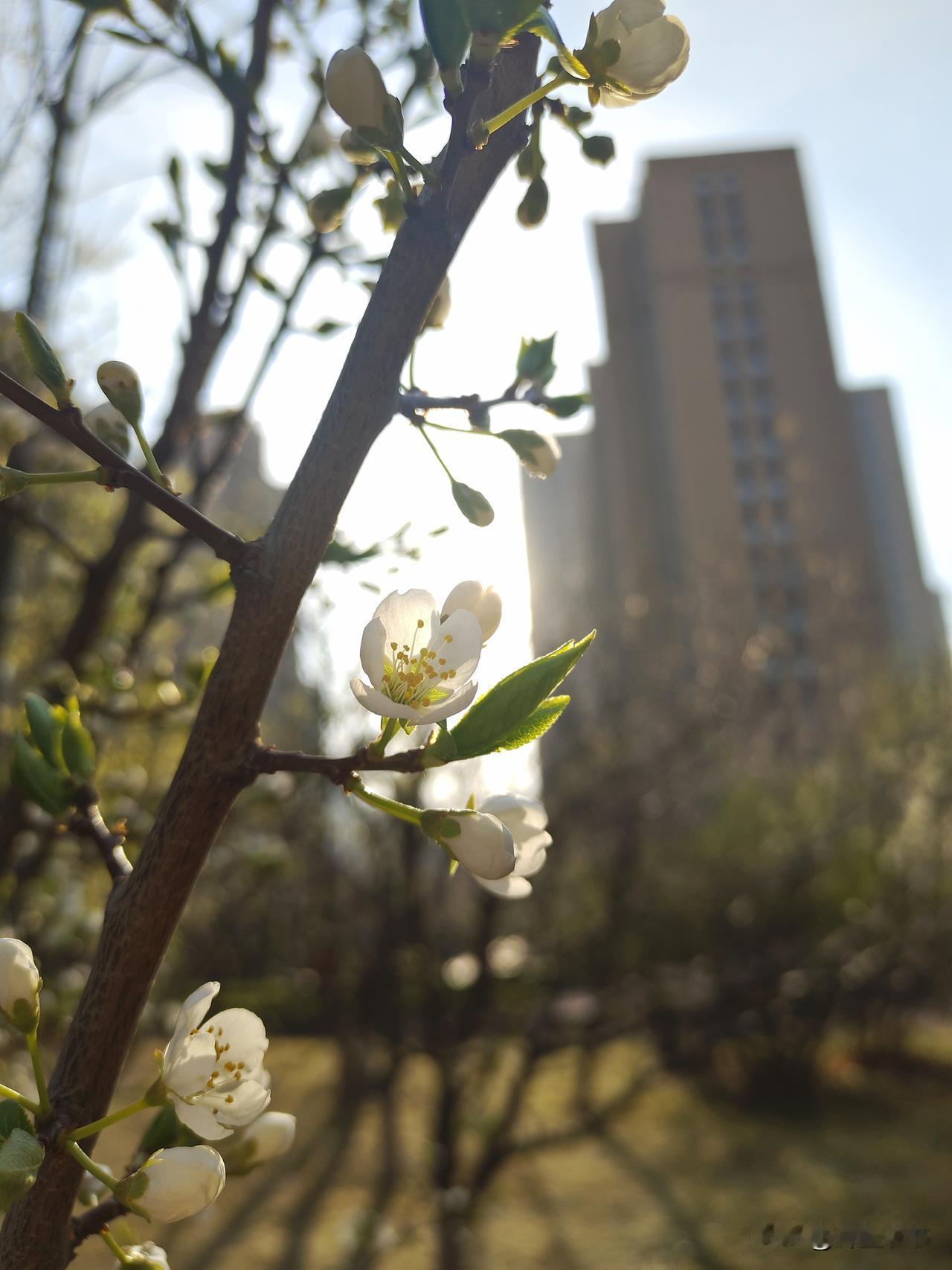 再好的朋友，说话也别太直白
 
很多人都有个误区，觉得关系够铁、交情够深，说话就