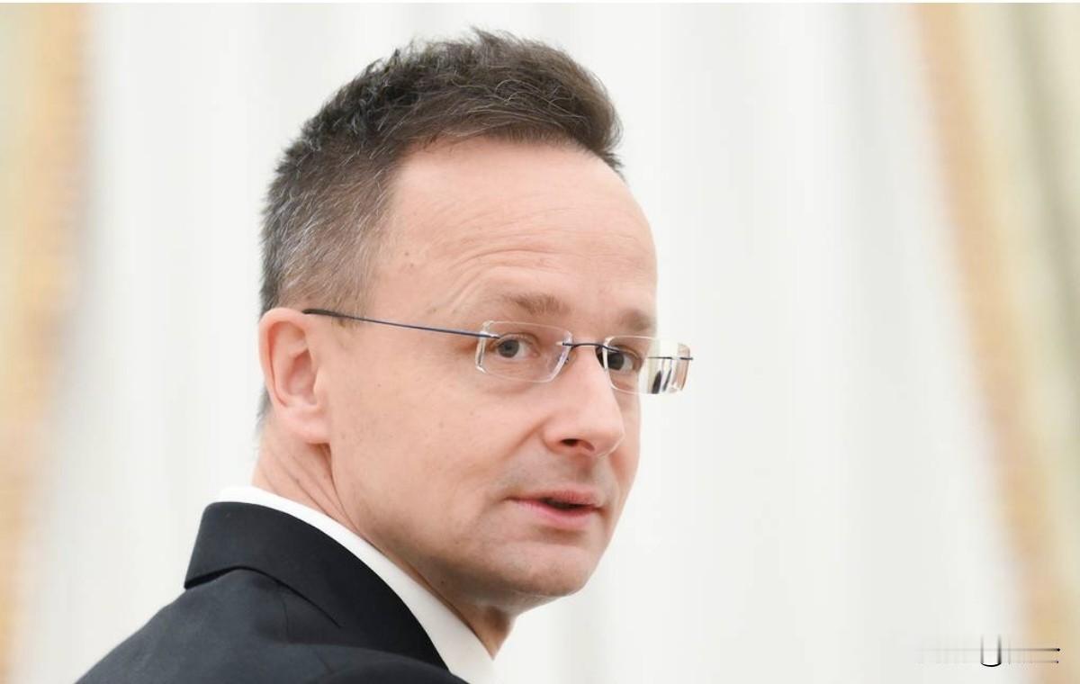 匈牙利正式亮明立场！反对乌克兰入盟，否决900亿欧元援乌计划
 
据塔斯社3月1