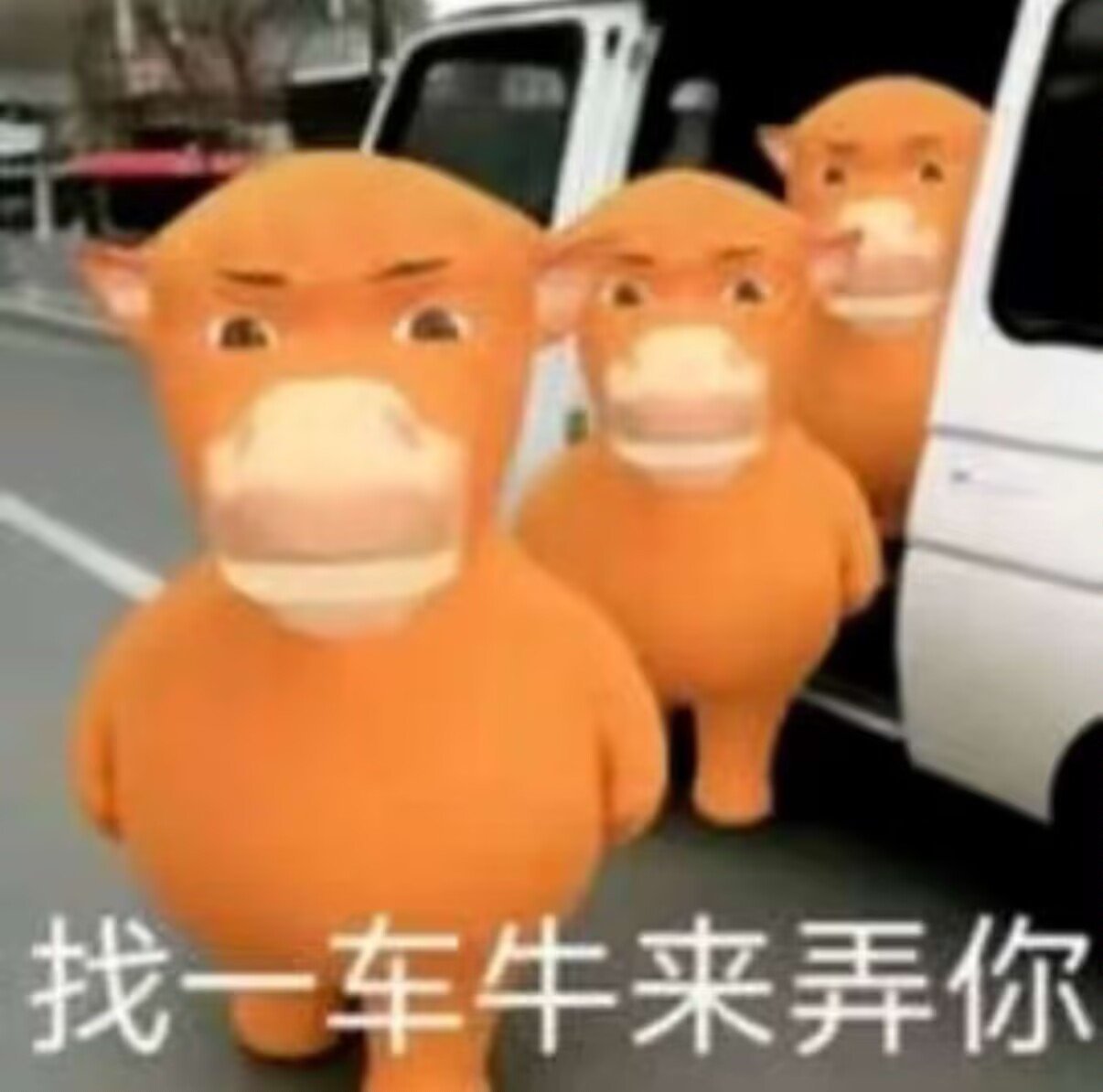 把我当成牛来导演，再给我一次票房钱吧！ 