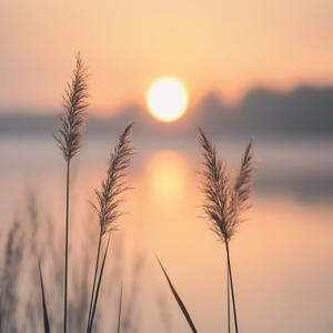 梦凡悦悦笑说世界