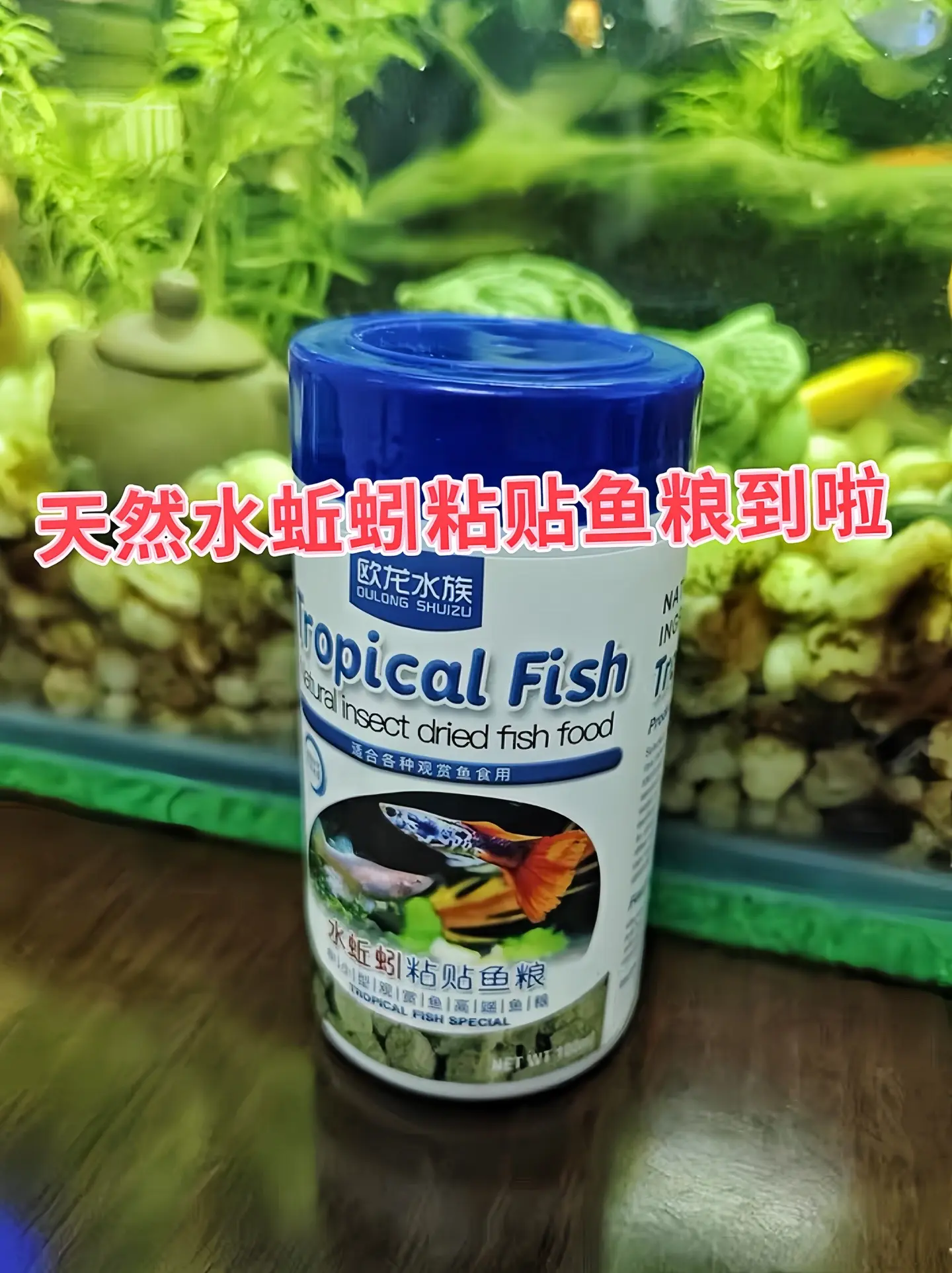 营养丰富：水蚯蚓富含蛋白质、脂肪、矿物质和维生素等营养成分，其蛋白质含...