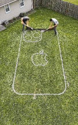 我总结了一下，
他们是太闲了。