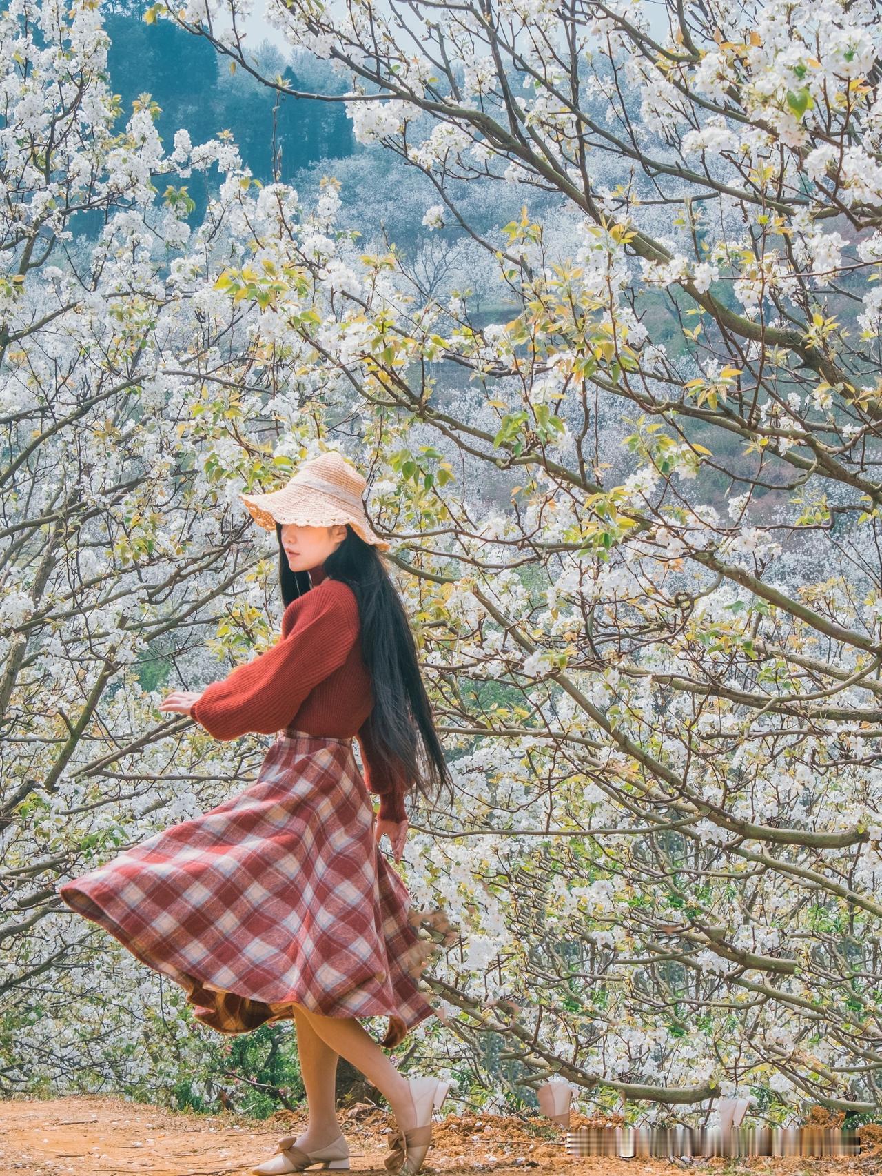 自驾云南｜春天总要来一次加级寨吧

出个旧市区向北，自驾十来公里就来到了加级寨，