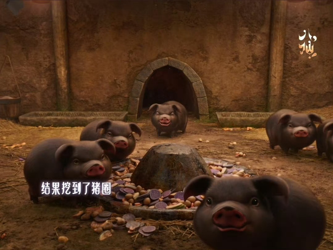 戬子哥把这几头猪啰啰养得好呆萌可爱，圆滚滚胖墩墩，有人说就是因为每天喂小猪吃紫薯