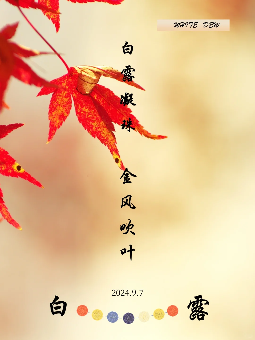 白露渐秋气爽，节气美如画，白露文案、海报