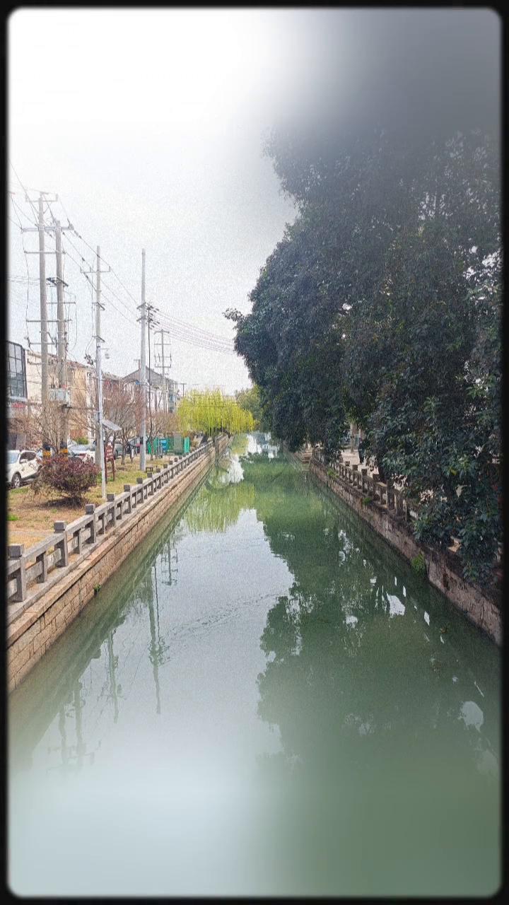 春日漫步随拍。
在春日的某个早晨，在转角的鲜花店，春天那么美好，错过就可惜啦。