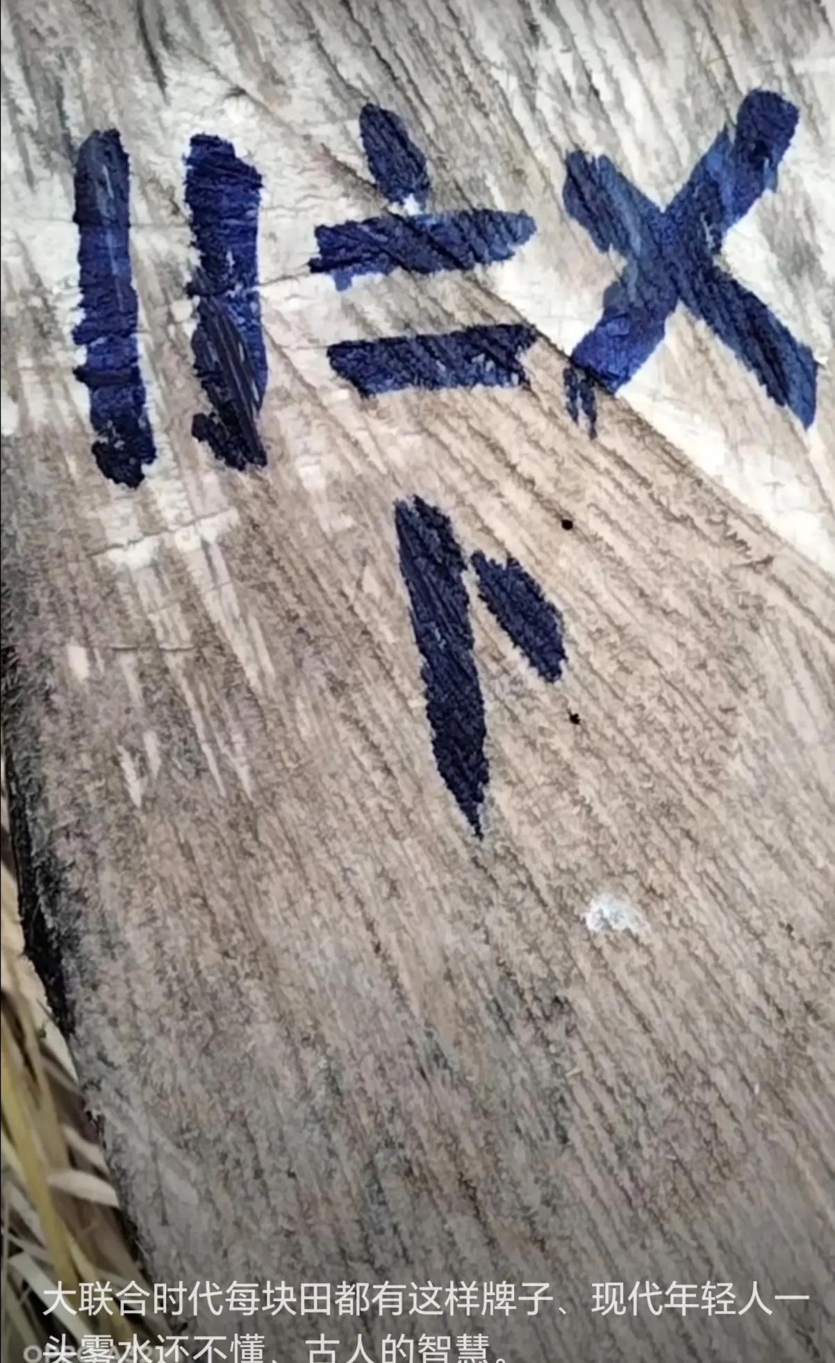 看懂这些数字的人已经老了！