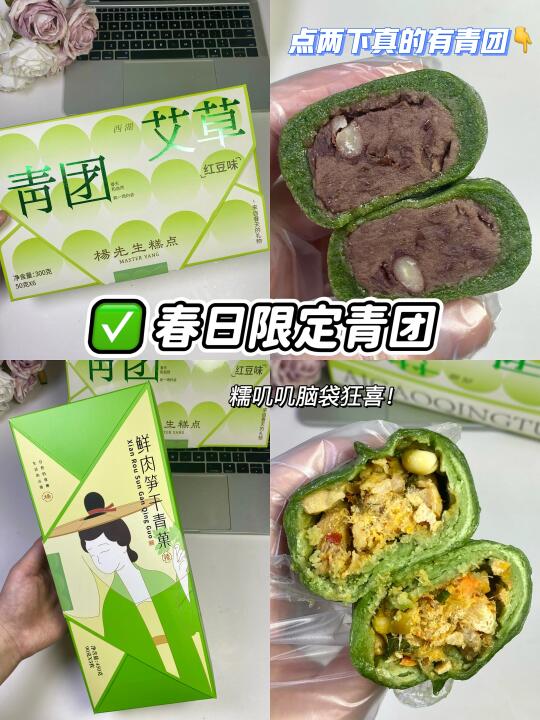 春日限定！没吃过这些青团我都会伤心的！