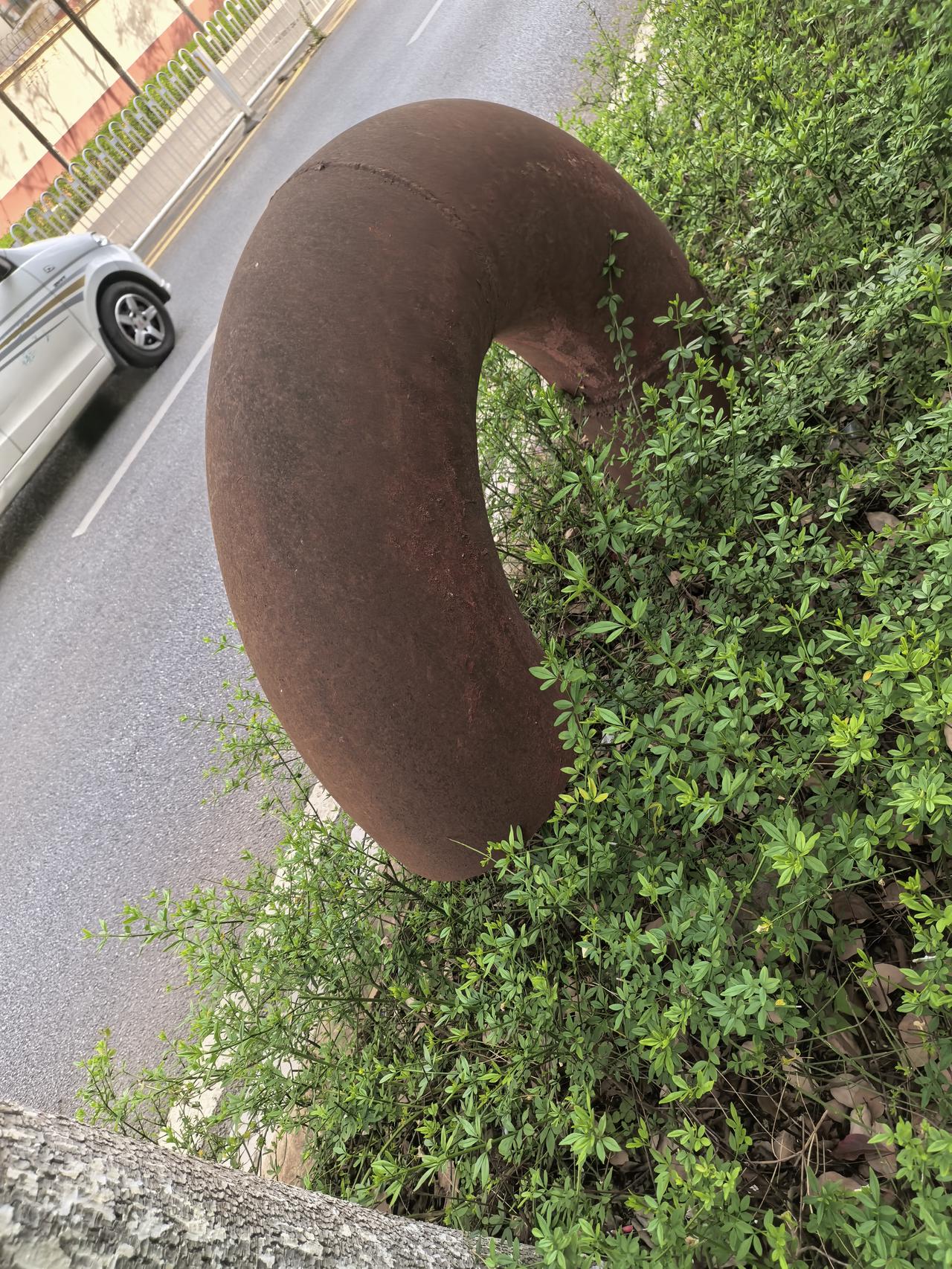 这个路上绿化带中这两个是啥？这一带一公里左右的距离有五  六个。