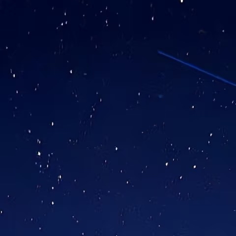 0000不必向外寻找光亮，心底长存柔软与良善，自身便是温柔光源。用包容消解隔阂，