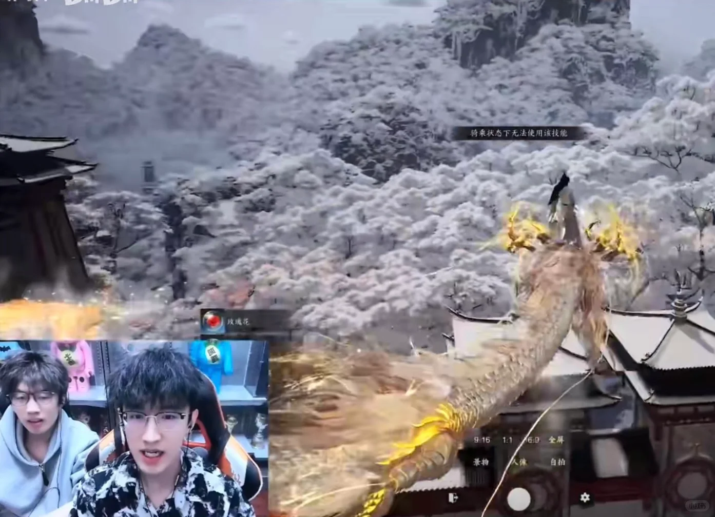 浮夸成最大冤种，100万龙坐骑买家秀卖家秀