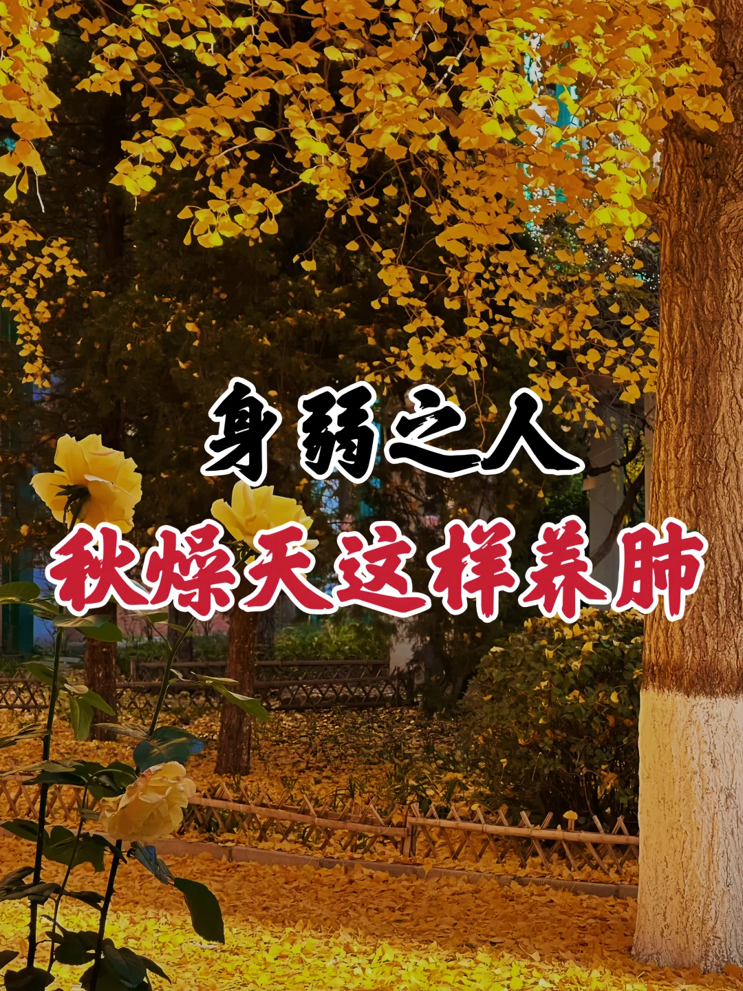 秋燥天已到，身弱之人更要注意‼️