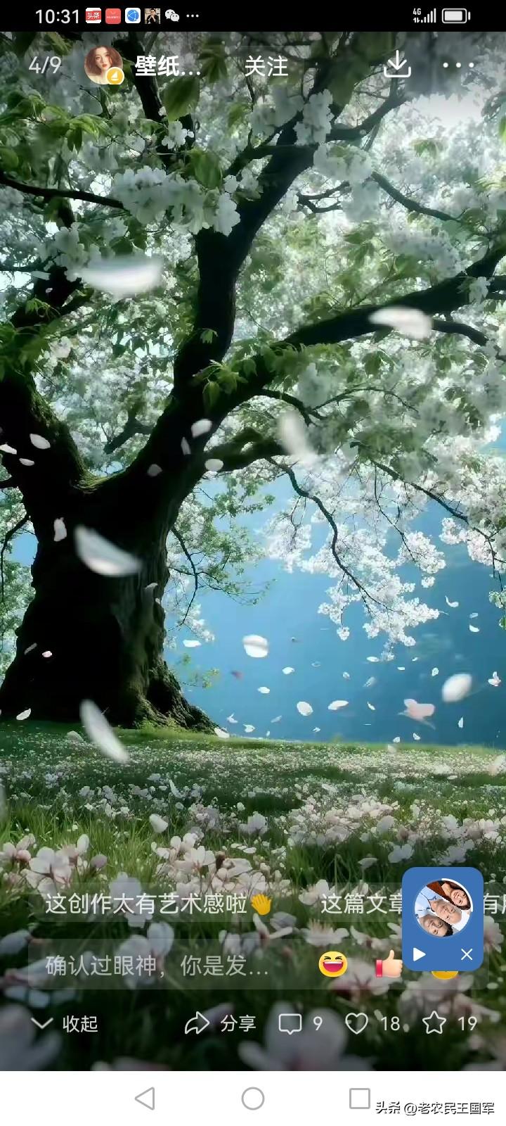 在乡下的树林里拾取知了壳并非易事，天气闷热，还会遭受蚊虫叮咬。运气好、脚步顺的时