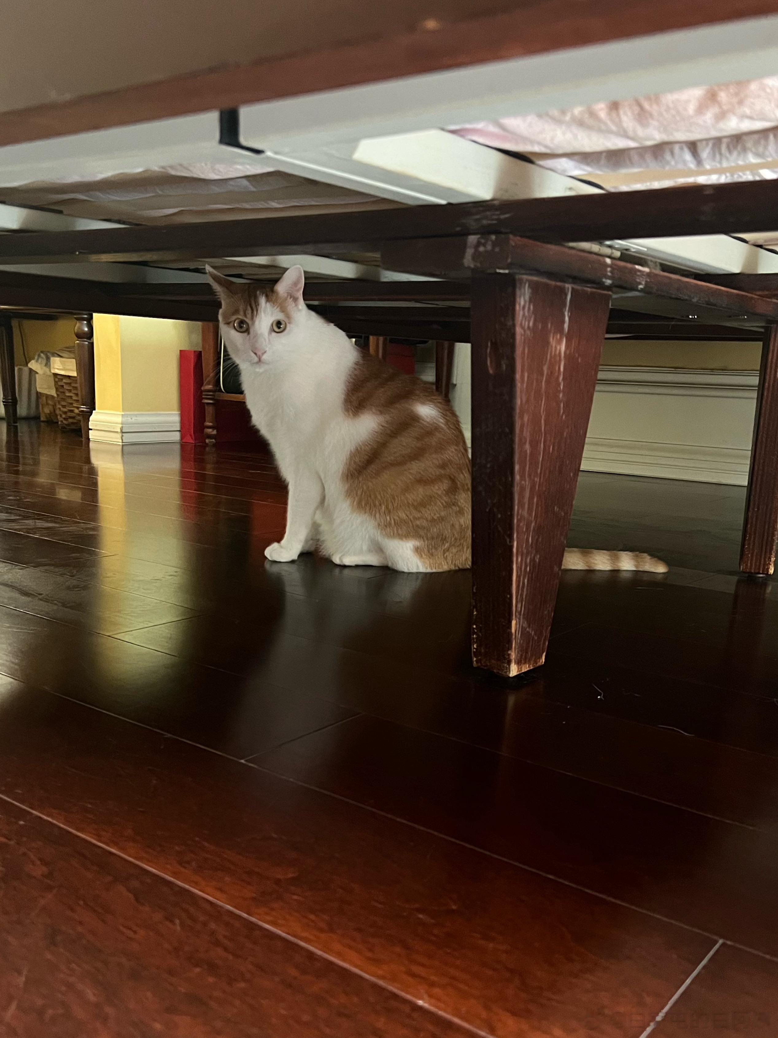猴子！你周末不上班，不许待在单位混空调，回你宿舍蹲着去[怒骂] ​​​