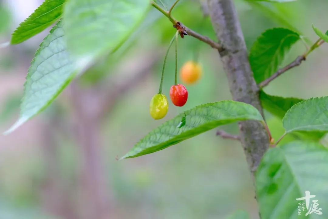 高官显，大款阔，富贵如云眼前过。
青菜萝卜品真味，琴棋书画自得乐。
穷通有数，各