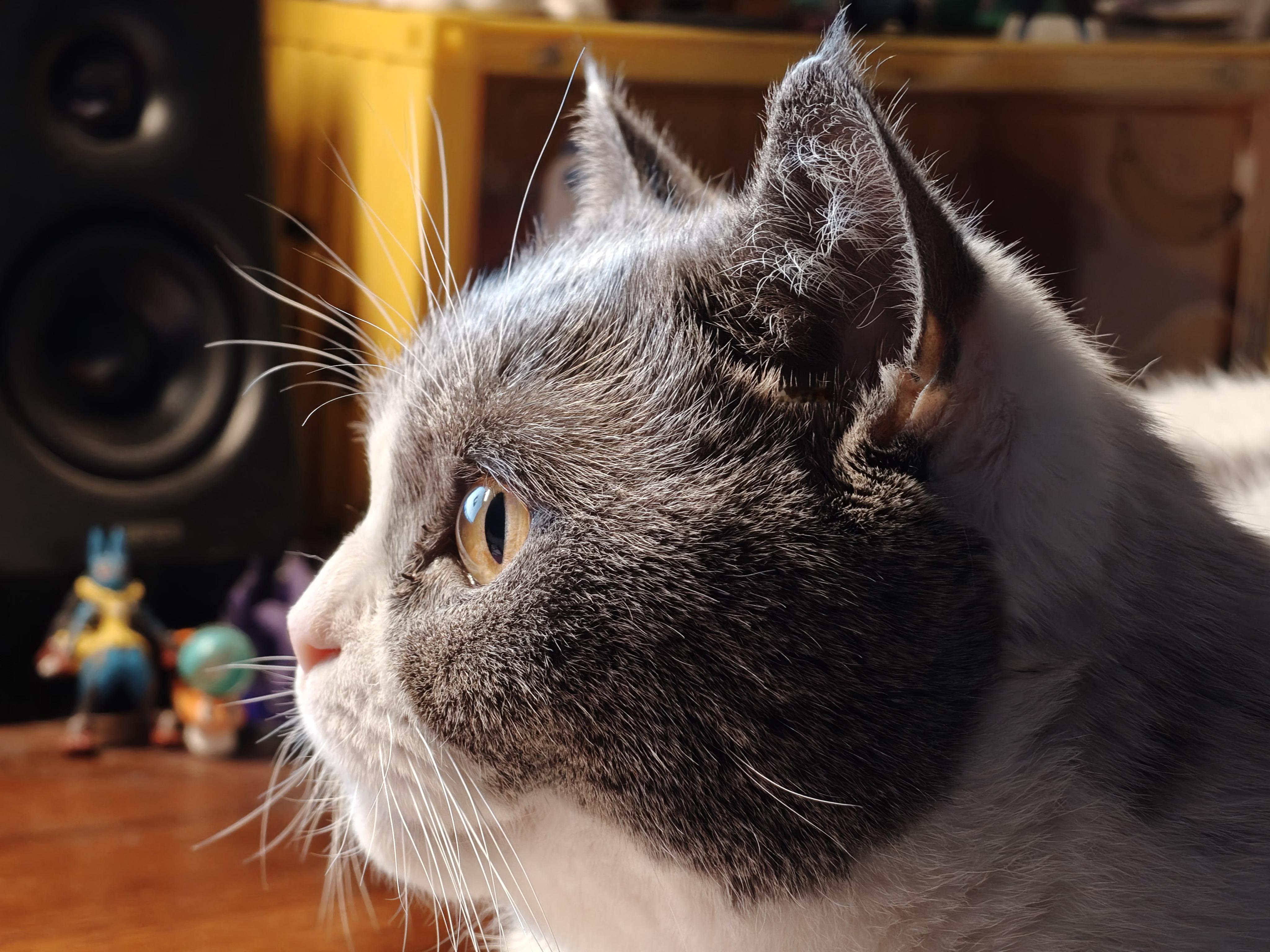 彦祖亦菲们，早☀ 