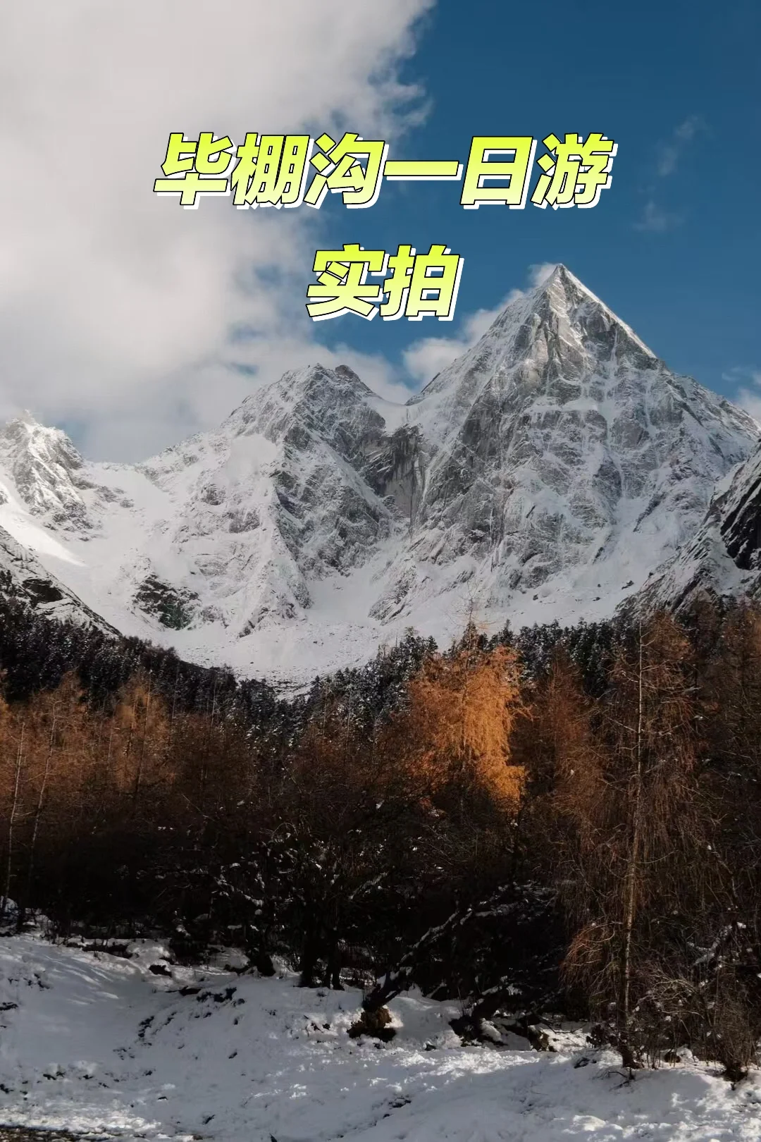 11.7📍毕棚沟，豪赌成功！下雪后真的美哭了