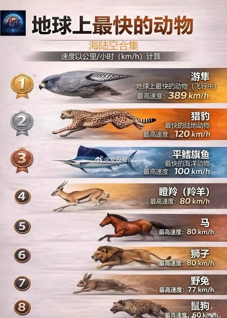 地球上跑的最快的动物，你都猜对了吗？