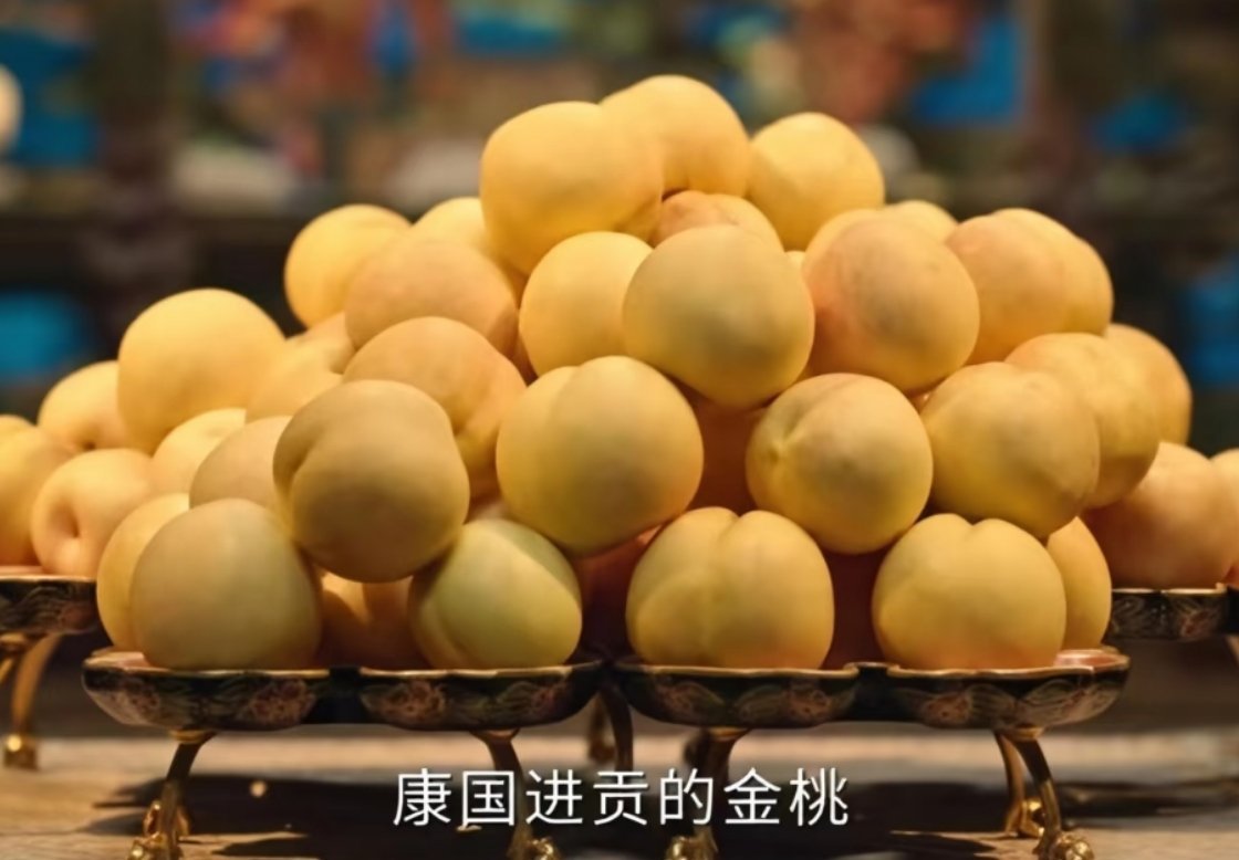 康国是指现在的乌兹别克斯坦！我就说看点有质量的剧能学到东西吧！看了两集康诡的金桃