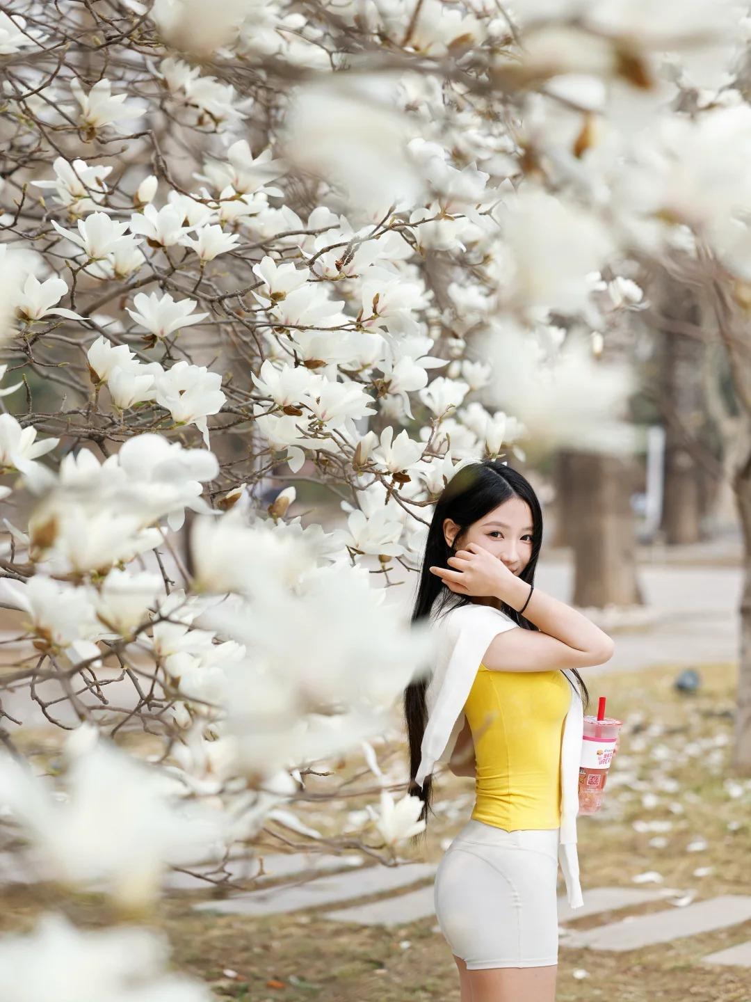 今年春天最想实现的心愿转角便撞见那棵老玉兰树，猝不及防撞进一片温柔里。她就站在树