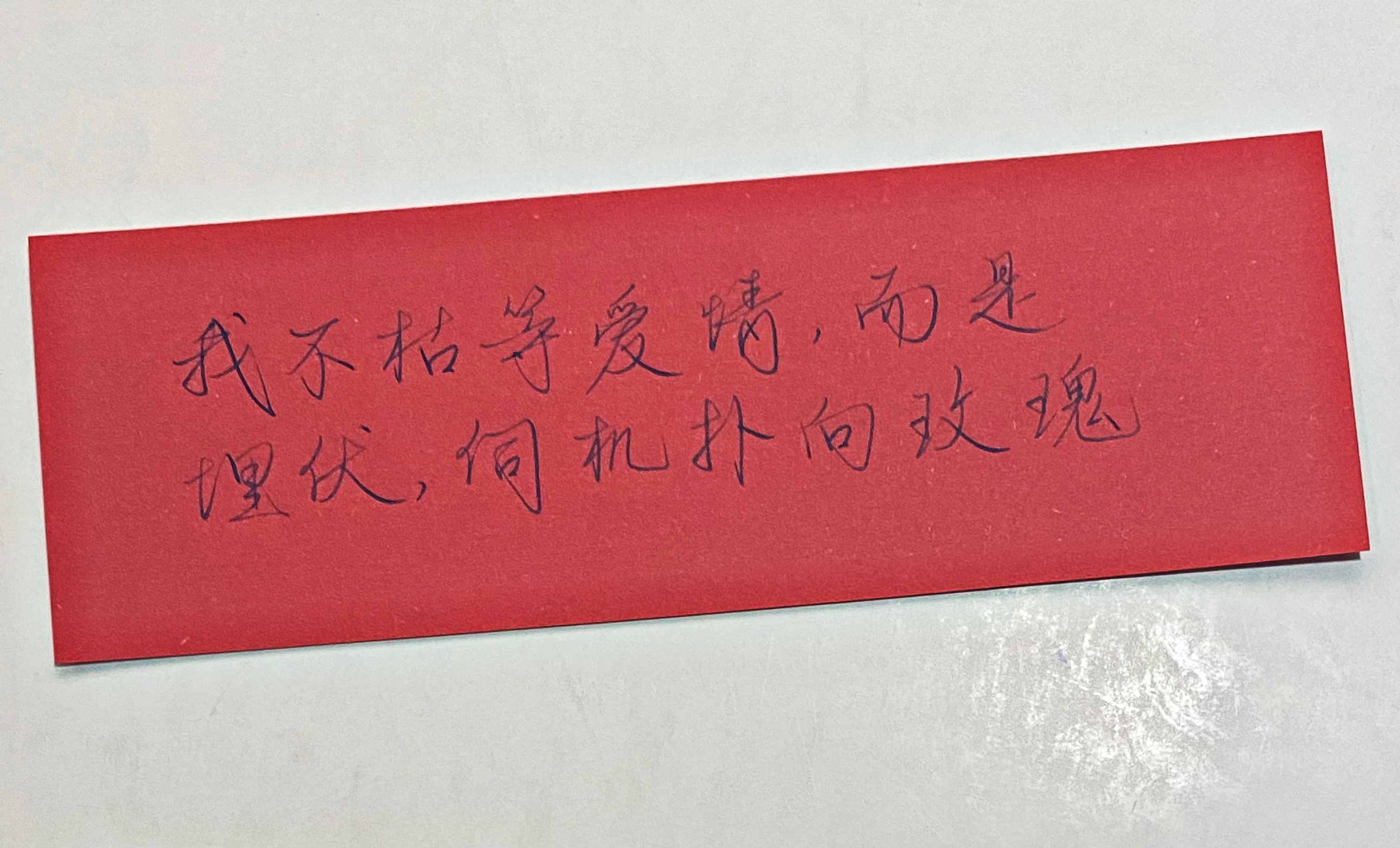 练字  而是埋伏 