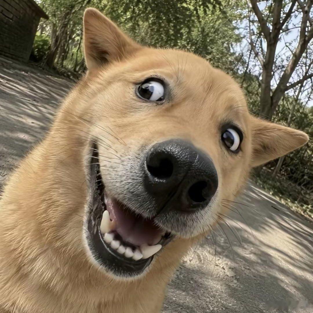 你们能看到我点赞特效吗 是不是超级可爱？！ 